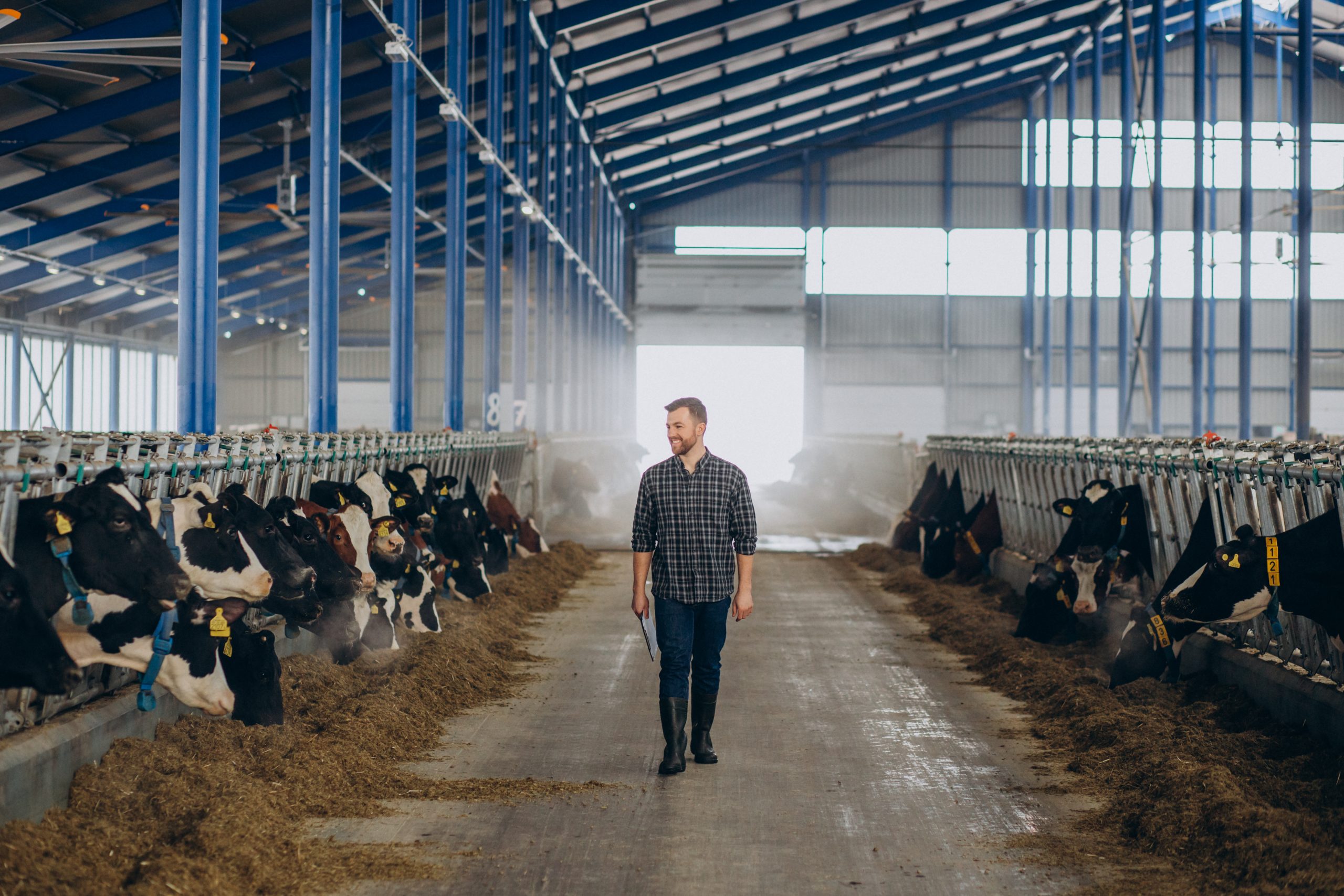 Parama investicijoms į žemės ūkio valdas (2023 m. II)(EURI)Pieninės galvijininkystės sektoriui.